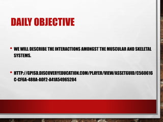 DAILY OBJECTIVE
• WE WILL DESCRIBE THE INTERACTIONS AMONGST THE MUSCULAR AND SKELETAL
SYSTEMS.
• HTTP://GPISD.DISCOVERYEDUCATION.COM/PLAYER/VIEW/ASSETGUID/C560616
C-CF6A-488A-A0F2-A41A54965204
 