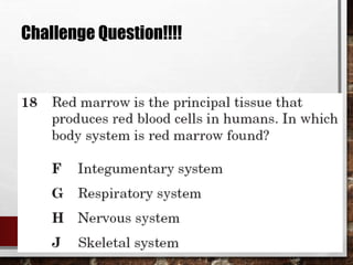 Challenge Question!!!!
 