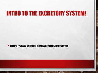 INTRO TO THE EXCRETORY SYSTEM!
• HTTPS://WWW.YOUTUBE.COM/WATCH?V=LICKIVT2QI4
 
