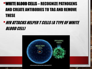 •WHITE BLOOD CELLS – RECOGNIZE PATHOGENS
AND CREATE ANTIBODIES TO TAG AND REMOVE
THESE
•HIV ATTACKS HELPER T CELLS (A TYPE OF WHITE
BLOOD CELL)
 