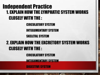 1. EXPLAIN HOW THE LYMPHATIC SYSTEM WORKS
CLOSELY WITH THE :
CIRCULATORY SYSTEM
INTEGUMENTARY SYSTEM
SKELETAL SYSTEM
2. EXPLAIN HOW THE EXCRETORY SYSTEM WORKS
CLOSELY WITH THE :
CIRCULATORY SYSTEM
INTEGUMENTARY SYSTEM
DIGESTIVE SYSTEM
Independent Practice
 