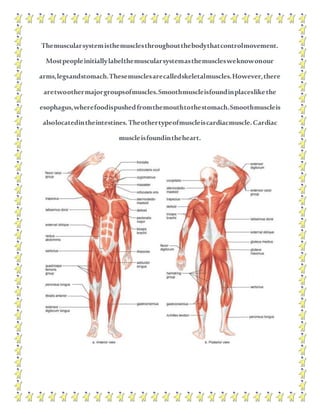 Themuscularsystemisthemusclesthroughoutthebodythatcontrolmovement.
Mostpeopleinitiallylabelthemuscularsystemasthemusclesweknowonour
arms,legsandstomach.Thesemusclesarecalledskeletalmuscles.However,there
aretwoothermajorgroupsofmuscles.Smoothmuscleisfoundinplaceslikethe
esophagus,wherefoodispushedfromthemouthtothestomach.Smoothmuscleis
alsolocatedintheintestines.Theothertypeofmuscleiscardiacmuscle.Cardiac
muscleisfoundintheheart.
 