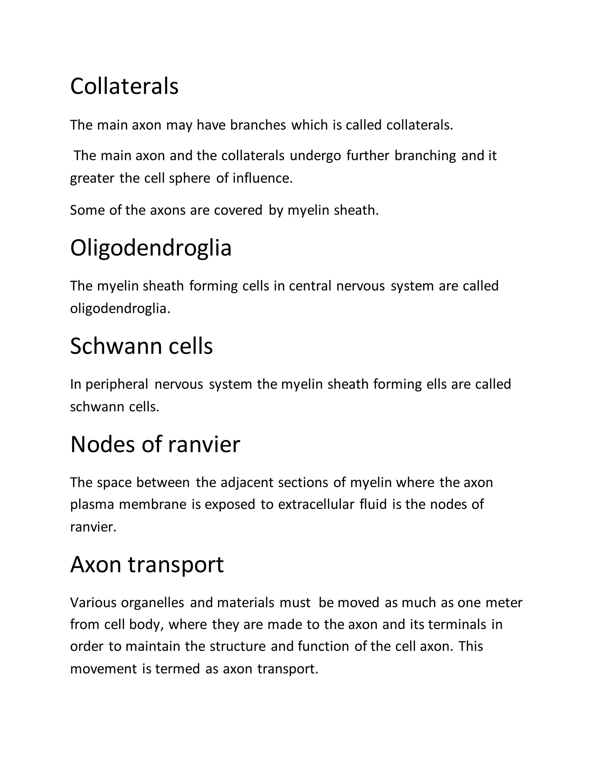 Neuron Introduction introduction to neuron | DOCX