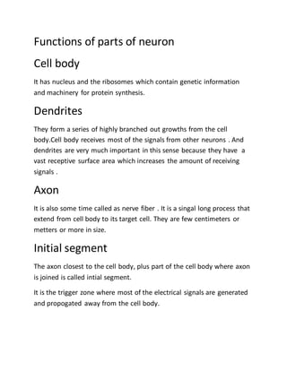 Functions of parts of neuron
Cell body
It has nucleus and the ribosomes which contain genetic information
and machinery for protein synthesis.
Dendrites
They form a series of highly branched out growths from the cell
body.Cell body receives most of the signals from other neurons . And
dendrites are very much important in this sense because they have a
vast receptive surface area which increases the amount of receiving
signals .
Axon
It is also some time called as nerve fiber . It is a singal long process that
extend from cell body to its target cell. They are few centimeters or
metters or more in size.
Initial segment
The axon closest to the cell body, plus part of the cell body where axon
is joined is called intial segment.
It is the trigger zone where most of the electrical signals are generated
and propogated away from the cell body.
 