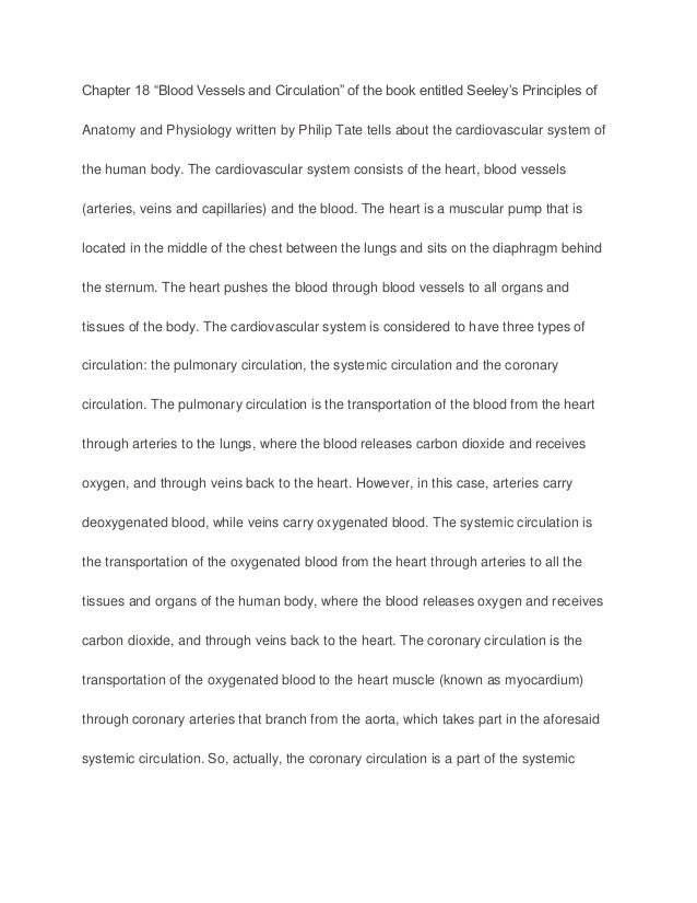 Muscular System Essay