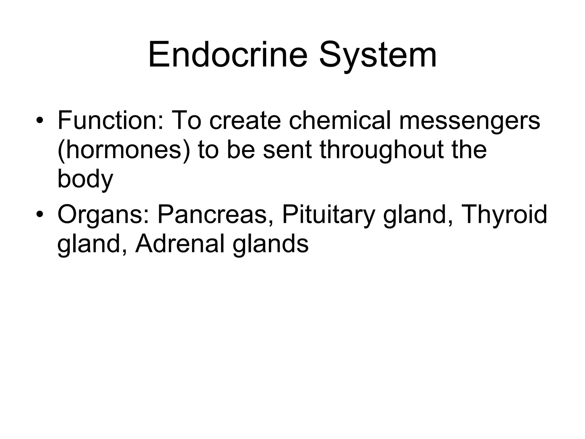 Endocrine System Function: To create chemical messengers (hormones) to be sent throughout the body Organs: Pancreas, Pituitary gland, Thyroid gland, Adrenal glands 