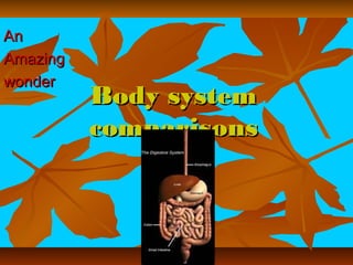 An
Amazing
wonder
          Body system
          comparisons
 