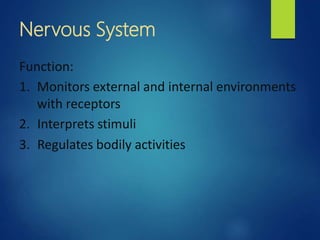 Nervous System
Function:
1. Monitors external and internal environments
with receptors
2. Interprets stimuli
3. Regulates bodily activities
 