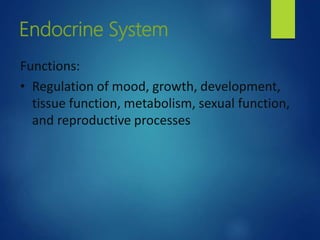 Endocrine System
Functions:
• Regulation of mood, growth, development,
tissue function, metabolism, sexual function,
and reproductive processes
 