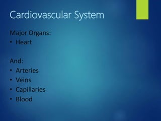 Cardiovascular System
Major Organs:
• Heart
And:
• Arteries
• Veins
• Capillaries
• Blood
 