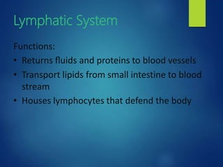 Lymphatic System
Functions:
• Returns ﬂuids and proteins to blood vessels
• Transport lipids from small intestine to blood
stream
• Houses lymphocytes that defend the body
 