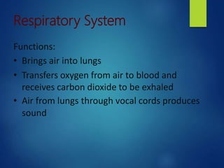 Respiratory System
Functions:
• Brings air into lungs
• Transfers oxygen from air to blood and
receives carbon dioxide to be exhaled
• Air from lungs through vocal cords produces
sound
 