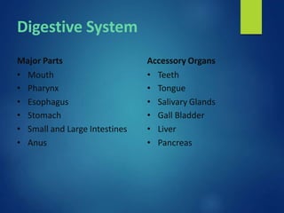 Digestive System
Major Parts
• Mouth
• Pharynx
• Esophagus
• Stomach
• Small and Large Intestines
• Anus
Accessory Organs
• Teeth
• Tongue
• Salivary Glands
• Gall Bladder
• Liver
• Pancreas
 