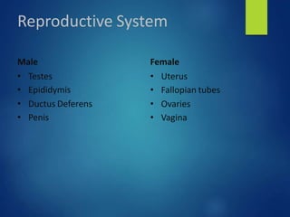 Reproductive System
Male
• Testes
• Epididymis
• Ductus Deferens
• Penis
Female
• Uterus
• Fallopian tubes
• Ovaries
• Vagina
 