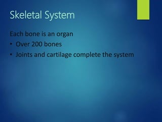 Skeletal System
Each bone is an organ
• Over 200 bones
• Joints and cartilage complete the system
 
