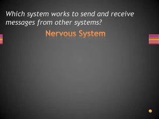 Which system works to send and receive
messages from other systems?
 