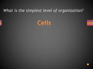 What is the simplest level of organization?
 