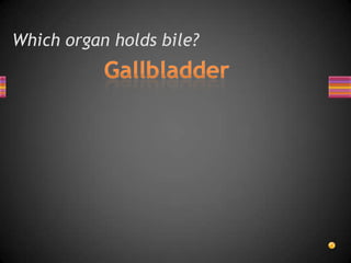 Which organ holds bile?
 