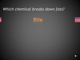 Which chemical breaks down fats?
 