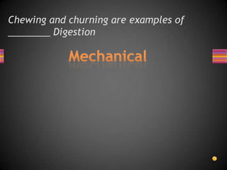 Chewing and churning are examples of
________ Digestion
 