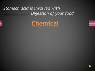 Stomach acid is involved with
____________ Digestion of your food
 