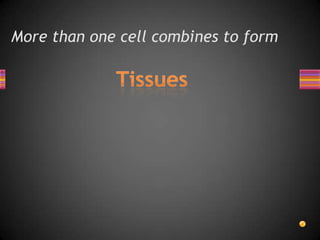 More than one cell combines to form
 