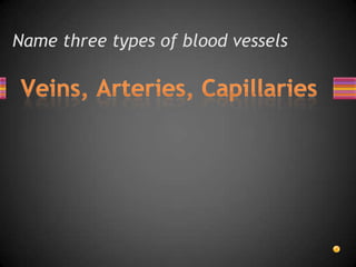Name three types of blood vessels
 