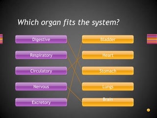 Which organ fits the system?

    Digestive         Bladder


   Respiratory         Heart


   Circulatory        Stomach


    Nervous            Lungs

                       Brain
    Excretory
 