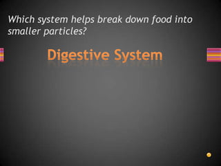 Which system helps break down food into
smaller particles?
 