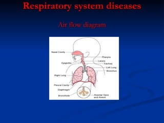 Respiratory system diseases Air flow diagram 