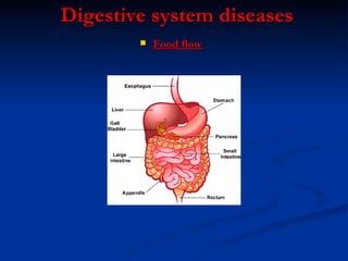 Digestive system diseases Food flow 
