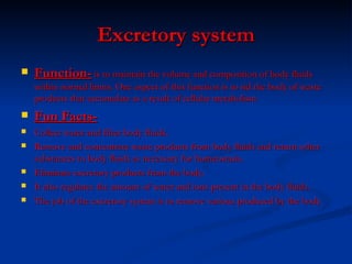 Excretory system Function-  is to maintain the volume and composition of body fluids within normal limits. One aspect of this function is to rid the body of waste products that accumulate as a result of cellular metabolism Fun Facts- Collect water and filter body fluids.  Remove and concentrate waste products from body fluids and return other substances to body fluids as necessary for homeostasis.  Eliminate excretory products from the body.  It also regulates the amount of water and ions present in the body fluids. The job of the excretory system is to remove various produced by the body 