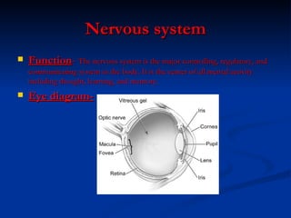 Nervous system Function -  The nervous system is the major controlling, regulatory, and communicating system in the body. It is the center of all mental activity including thought, learning, and memory. Eye diagram- 