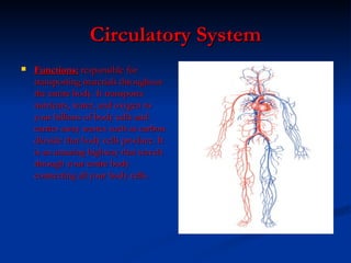 Circulatory System Functions:  responsible for transporting materials throughout the entire body. It transports nutrients, water, and oxygen to your billions of body cells and carries away wastes such as carbon dioxide that body cells produce. It is an amazing highway that travels through your entire body connecting all your body cells.   