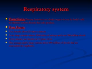Respiratory system Functions- Primary function is to obtain oxygen for use by body's cells & eliminate carbon dioxide that cells produce. Fun Facts- You breathe about 25 times a minute Your lungs contain almost 1500 miles of airways and over 300 million alveoli.  Every minute you breathe in 13 pints of air.  The average adult's lungs contain about 600 million of alveoli that are surrounded by capillaries. 