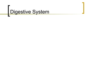 Digestive System 