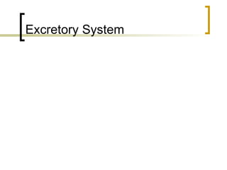 Excretory System 