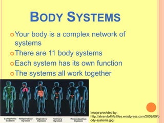 Body Systems | PPTX