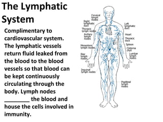 Body systems | PPT