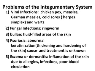 Body systems | PPT