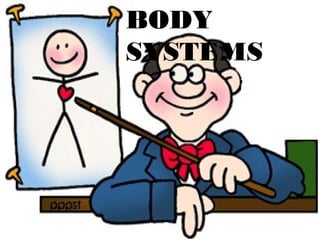 BODY
SYSTEMS

 