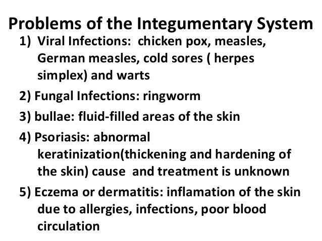 Body systems