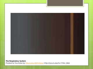 The Respiratory System
Posted to Youtube by: EducationWithVision http://youtu.be/hc1YtXc_84A

 