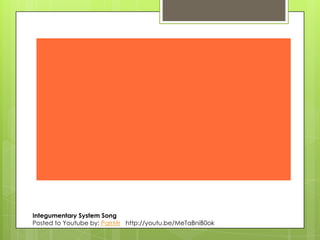 Integumentary System Song
Posted to Youtube by: ParrMr http://youtu.be/MeTaBniB0ok

 