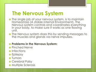The Nervous System













The single job of your nervous system, is to maintain
Homeostasis (A stable internal Environment). The
Nervous system controls and coordinates everything
in your body, to make sure it works as one flowing
unit.
The Nervous system does this by sending messages to
the muscles and glands via nerve impulses.
Problems in the Nervous System:
Pinched Nerve
Infections
Epilepsy
Tumors
Cerebral Palsy
Multiple Sclerosis

 
