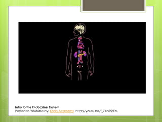 Intro to the Endocrine System
Posted to Youtube by: Khan Academy http://youtu.be/f_Z1zsR9lFM

 