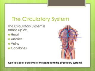The Circulatory System
The Circulatory System is
made up of:
 Heart
 Arteries
 Veins
 Capillaries

Can you point out some of the parts from the circulatory system?

 