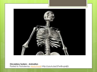 Circulatory System - Animation
Posted to Youtube by: Abdul Kadir http://youtu.be/57wrBvyp4jQ

 
