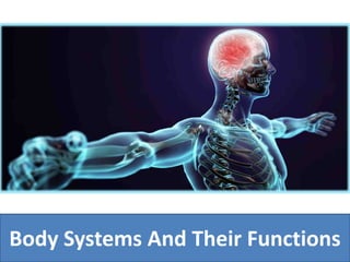 Body Systems And Their Functions
 