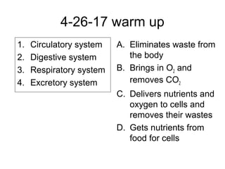 4-26-17 warm up
1. Circulatory system
2. Digestive system
3. Respiratory system
4. Excretory system
A. Eliminates waste from
the body
B. Brings in O2 and
removes CO2
C. Delivers nutrients and
oxygen to cells and
removes their wastes
D. Gets nutrients from
food for cells
 